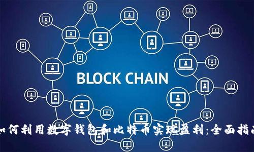 如何利用数字钱包和比特币实现盈利：全面指南