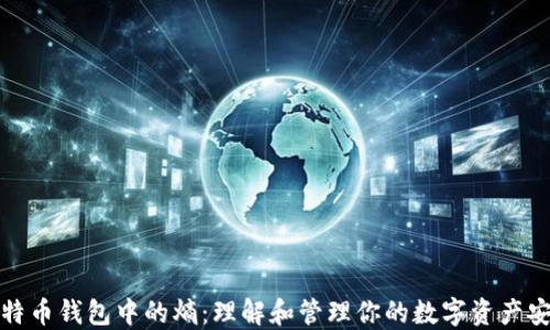 
比特币钱包中的熵：理解和管理你的数字资产安全