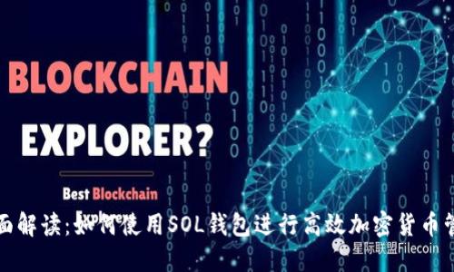 全面解读：如何使用SOL钱包进行高效加密货币管理