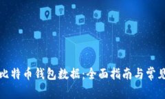 如何恢复比特币钱包数据