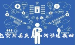 小狐钱包突然丢失后如何