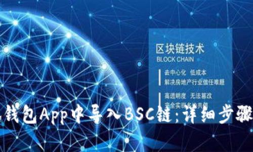 如何在小狐钱包App中导入BSC链：详细步骤与最佳实践