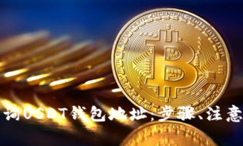 如何在线查询USDT钱包地址：步骤、注意事项与技巧