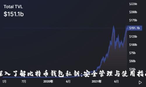 深入了解比特币钱包私钥：安全管理与使用指南