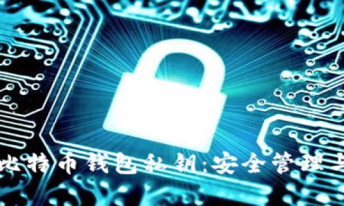 深入了解比特币钱包私钥：安全管理与使用指南