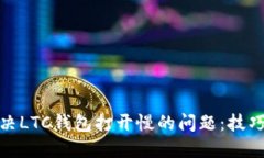 如何解决LTC钱包打开慢的