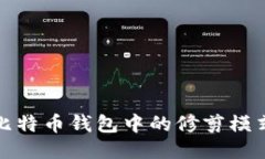 深入探讨比特币钱包中的