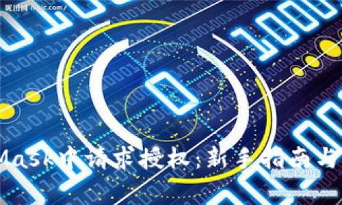 如何在MetaMask中请求授权：新手指南与常见问题解析