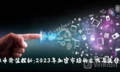 虚拟币价值探秘：2023年加