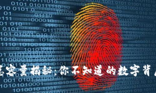 虚拟币总容量揭秘：你不知道的数字背后的故事