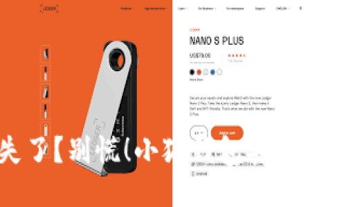 手机丢失了？别慌！小狐钱包安全求助全攻略