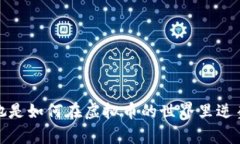 郭倩倩：她是如何在虚拟