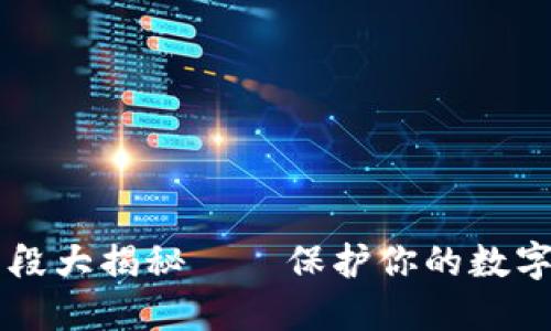 虚拟币盗窃手段大揭秘——保护你的数字资产不再是梦