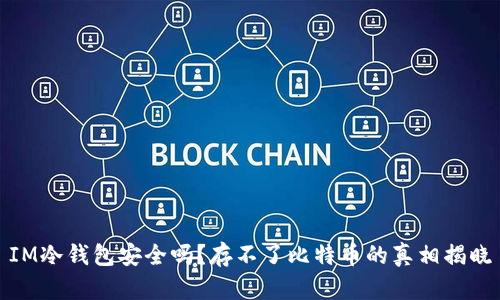 IM冷钱包安全吗？存不了比特币的真相揭晓