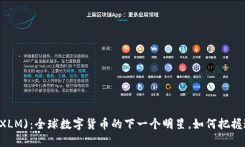 星际币 (XLM)：全球数字货币的下一个明星，如何把握这个机会？