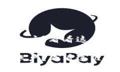 小狐钱包看不到账户？看