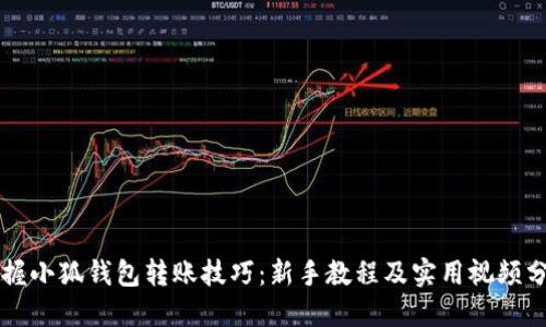 掌握小狐钱包转账技巧：新手教程及实用视频分享