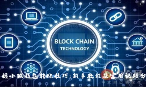 掌握小狐钱包转账技巧：新手教程及实用视频分享