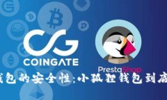 探索小狐狸钱包的安全性