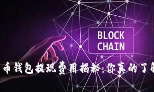 比特币钱包提现费用揭秘：你真的了解吗？