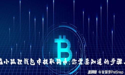 如何在小狐狸钱包中提取狗币：你需要知道的步骤与技巧