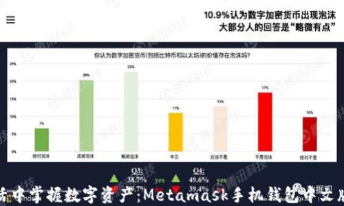 
在移动生活中掌握数字资产：Metamask手机钱包中文版使用指南