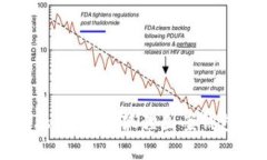时尚与文化融合：探索狐