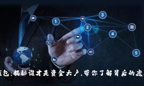 小狐钱包：揭秘谁才是资金大户，带你了解背后的庞大财富