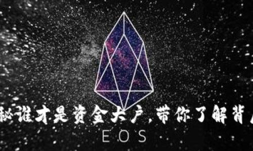 小狐钱包：揭秘谁才是资金大户，带你了解背后的庞大财富