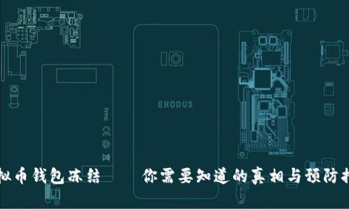 虚拟币钱包冻结——你需要知道的真相与预防措施
