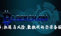 “虚拟币：机遇与风险，