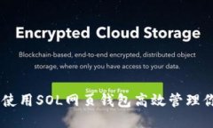 完全掌控：如何使用SOL网
