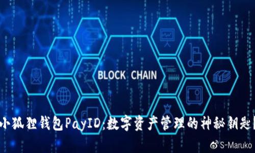 小狐狸钱包PayID：数字资产管理的神秘钥匙？