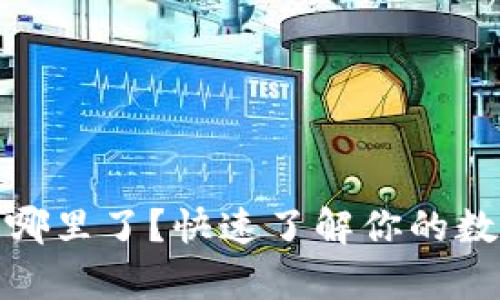 小狐狸钱包存入哪里了？快速了解你的数字资产安全之道