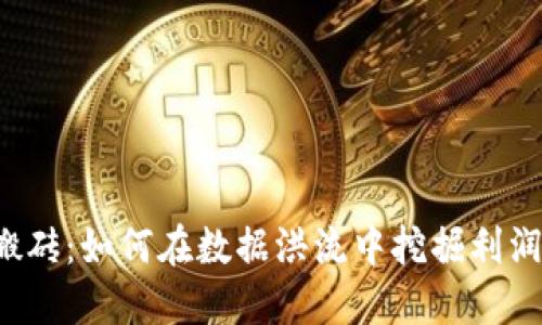 虚拟币搬砖：如何在数据洪流中挖掘利润的金矿？