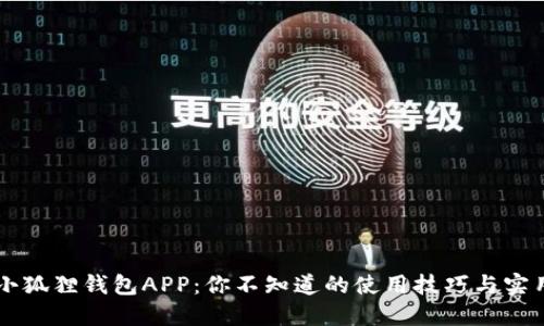掌握小狐狸钱包APP：你不知道的使用技巧与实用功能