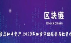 解密虚拟币资产：2023年加