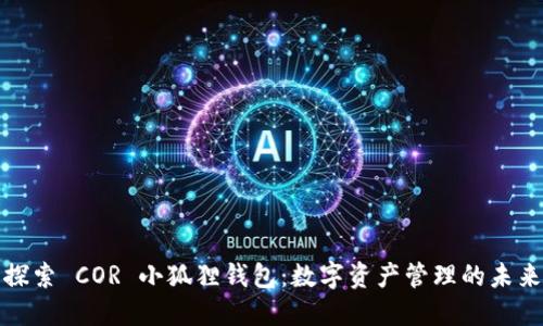 探索 COR 小狐狸钱包：数字资产管理的未来