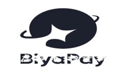 彻底解析Vera虚拟币：投资