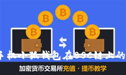 全面解析：手机小狐钱包在BSC链上的优势与应用