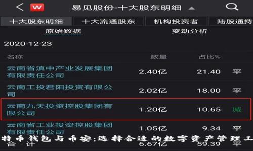 比特币钱包与币安：选择合适的数字资产管理工具
