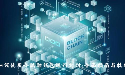 如何使用小狐狸钱包进行支付：全面指南与技巧