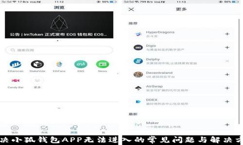 
解决小狐钱包APP无法进入的常见问题与解决方案