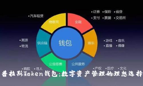 普拉斯Token钱包：数字资产管理的理想选择