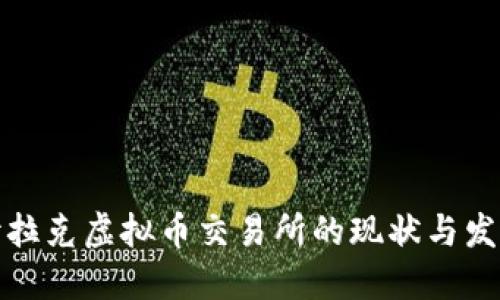 探索伊拉克虚拟币交易所的现状与发展方向
