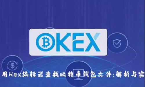 如何使用Hex编辑器查找比特币钱包文件：解析与实用指南
