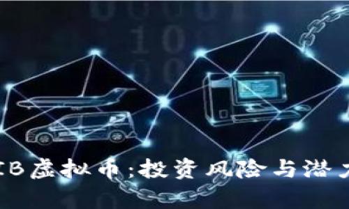 : SHIB虚拟币：投资风险与潜力分析