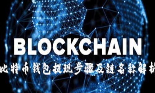 比特币钱包提现步骤及链名称解析