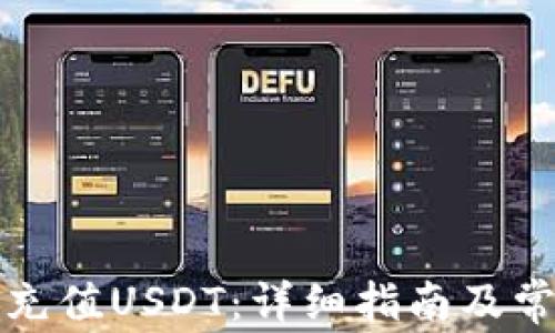 
如何向钱包充值USDT：详细指南及常见问题解析