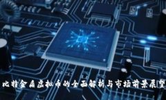 比特金盾虚拟币的全面解